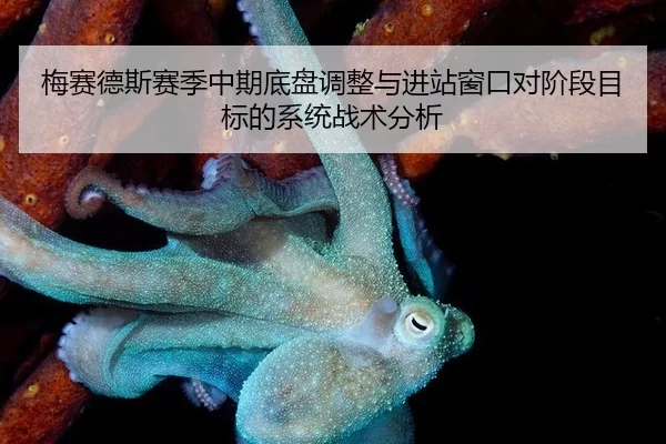 梅赛德斯赛季中期底盘调整与进站窗口对阶段目标的系统战术分析
